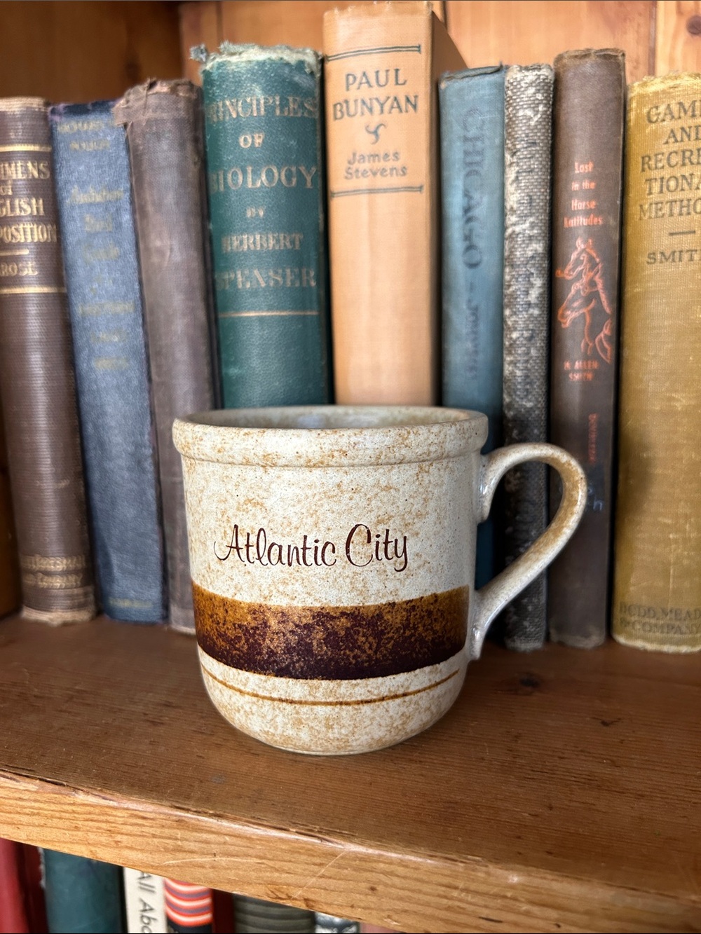 VINTAGE Atlantic City Speckled Stoneware Mug with Brown Stripe